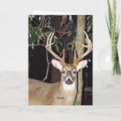 Carte de voeux White Tail Buck (Dos)