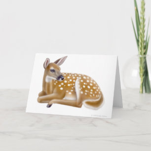 Carte de voeux White Tail Deer Fawn