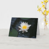Carte de voeux "White Water Lily" (Fleur jaune)