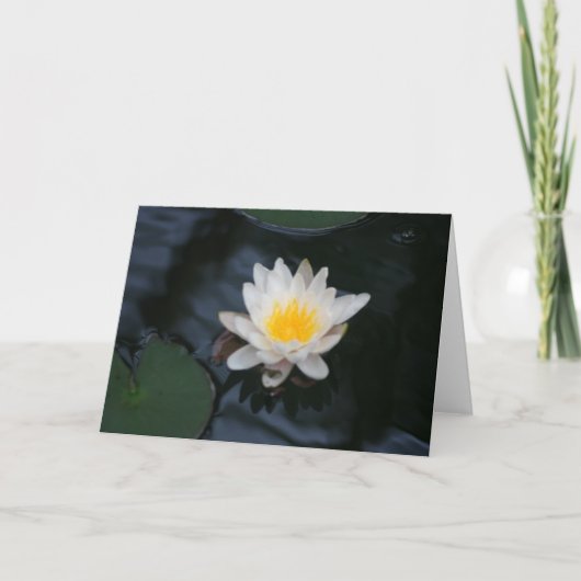 Carte de voeux "White Water Lily" (Devant)