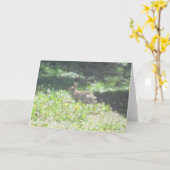 Carte de voeux Wild Bunny (Fleur jaune)