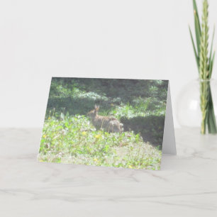 Carte de voeux Wild Bunny