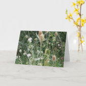Carte de voeux Wild Grasses (Fleur jaune)