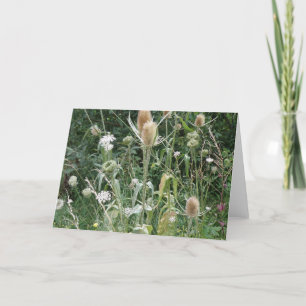 Carte de voeux Wild Grasses