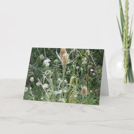 Carte de voeux Wild Grasses (Devant)