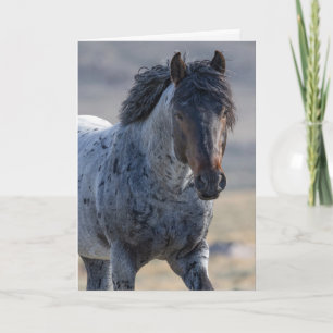 Carte de voeux Wild Horse - Blue et sa famille