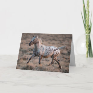 Carte de voeux Wild Horse Regarder Trots de verre