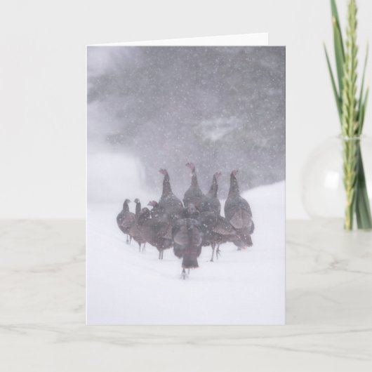 Carte de voeux Wild Turkey (Devant)
