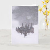 Carte de voeux Wild Turkey (Fleur jaune)