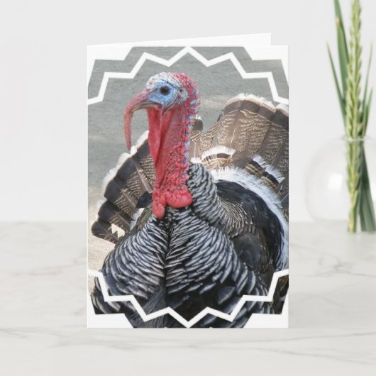 Carte de voeux Wild Turkey (Devant)