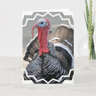 Carte de voeux Wild Turkey