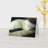 Carte de voeux WiLSoN SOLSTiCE (Fleur jaune)
