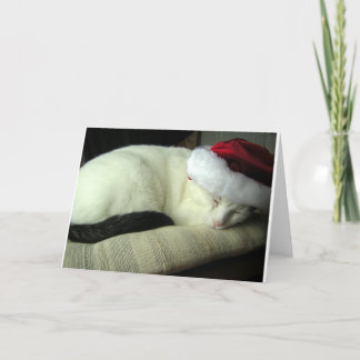 Carte de voeux WiLSoN SOLSTiCE