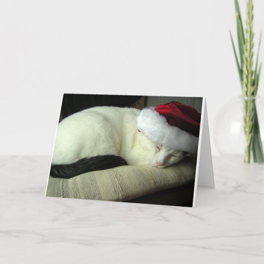Carte de voeux WiLSoN SOLSTiCE (Devant)