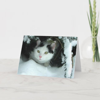 Carte de voeux WiLSoN XMaS