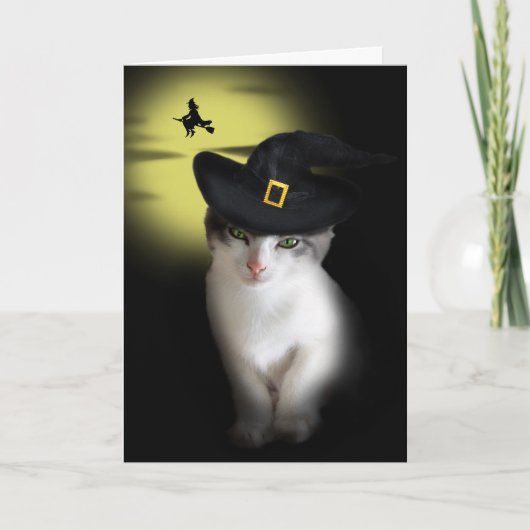 Carte de voeux Witch Kitten (Devant)