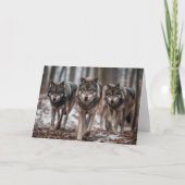 Carte de voeux Wolf Pack (Devant)