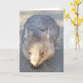 Carte de voeux Wombat (Fleur jaune)