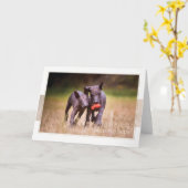 Carte de voeux Xoloitzcuintle Puppies (Fleur jaune)