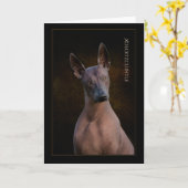 Carte de voeux Xoloitzcuintli (Fleur jaune)