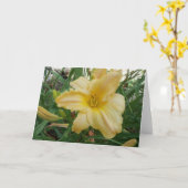 Carte de vœux Yellow Lily  Stella d'oro (Fleur jaune)