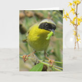 Carte de voeux Yellowthroat (Fleur jaune)