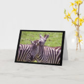 Carte de voeux Zebra (Fleur jaune)