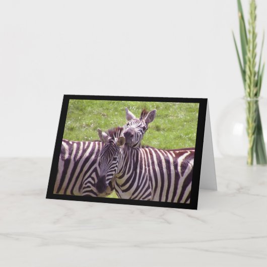 Carte de voeux Zebra (Devant)