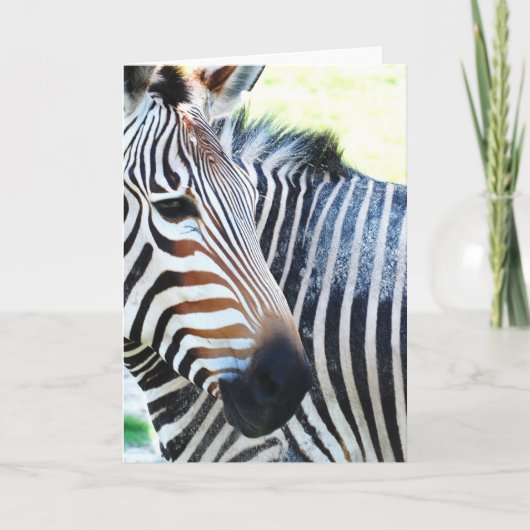 Carte de voeux Zebra Bold (Devant)