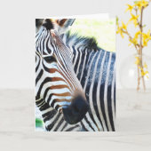 Carte de voeux Zebra Bold (Fleur jaune)