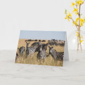 Carte de voeux Zebra de Grant (Fleur jaune)
