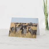 Carte de voeux Zebra de Grant (Devant)