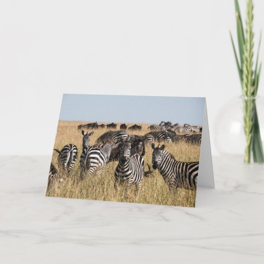 Carte de voeux Zebra de Grant (Devant)