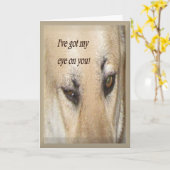 Carte De votre Pal Secret (Fleur jaune)