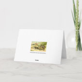 Carte de voyage de chats (Dos)