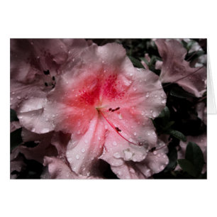 Carte de voyant interne