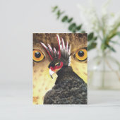 Carte de vue Griffin (Debout devant)