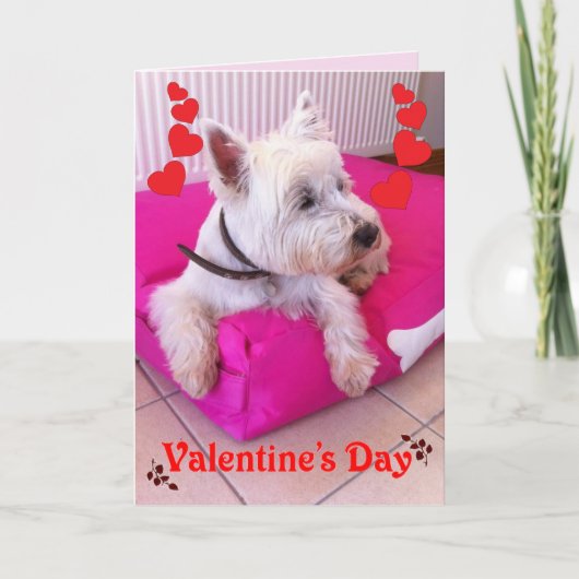 Carte de Westie de Saint-Valentin (Devant)