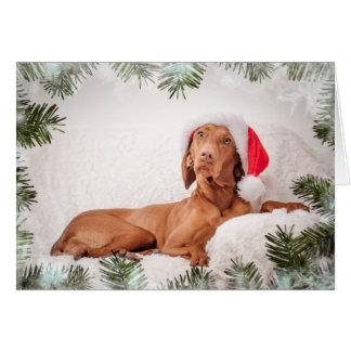 Carte de Xmas / Carte de Christmas "Magyar Vizsla"