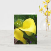 Carte de Yellow Calla Lilie (Fleur jaune)