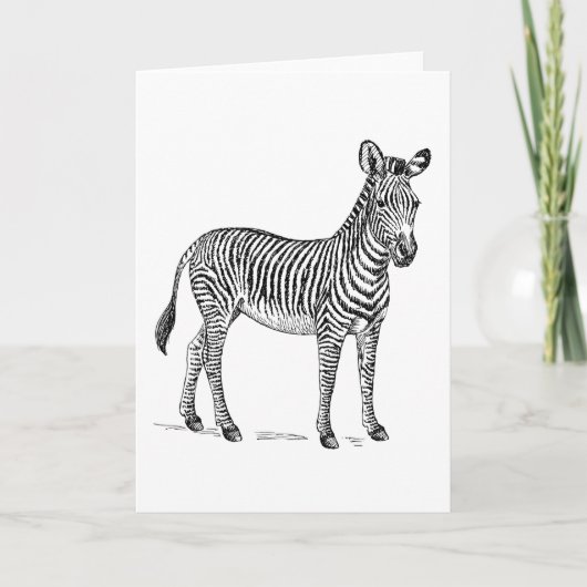 Carte de Zebra Blank Greetings (Devant)
