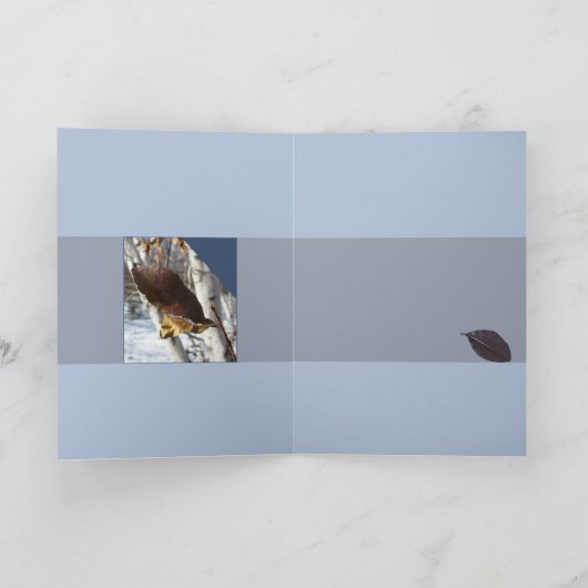 Carte Dead Leaves (Intérieur)