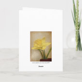 Carte Dean Mother, Daffodique Léger (Dos)