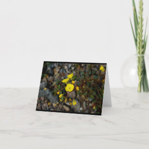 Carte Death Valley Flowers Note Card