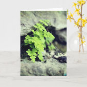 Carte Début du printemps Fern Toutes les occasions (Fleur jaune)