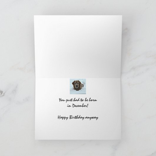 Carte Décembre Anniversaire Humour avec mignon chien (Intérieur)