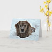 Carte Décembre Anniversaire Humour avec mignon chien (Fleur jaune)