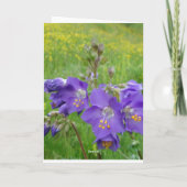 Carte d'échelle de Jacob (Dos)