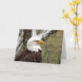 Carte Decorah North Eagles : La Lune des castors (Fleur jaune)