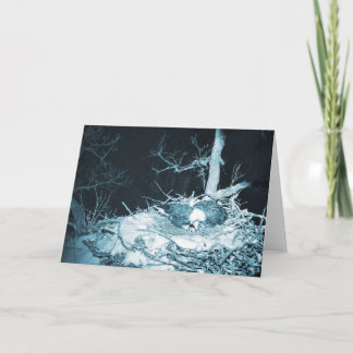 Carte Decorah North Eagles : La Lune des neiges